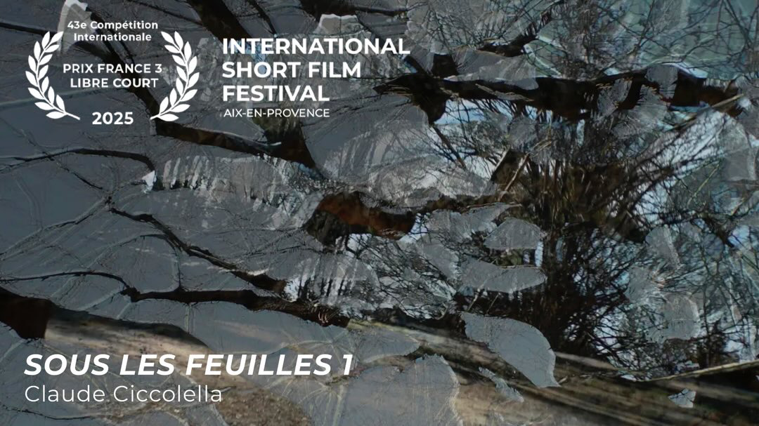 FESTIVAL TOUS COURTS2