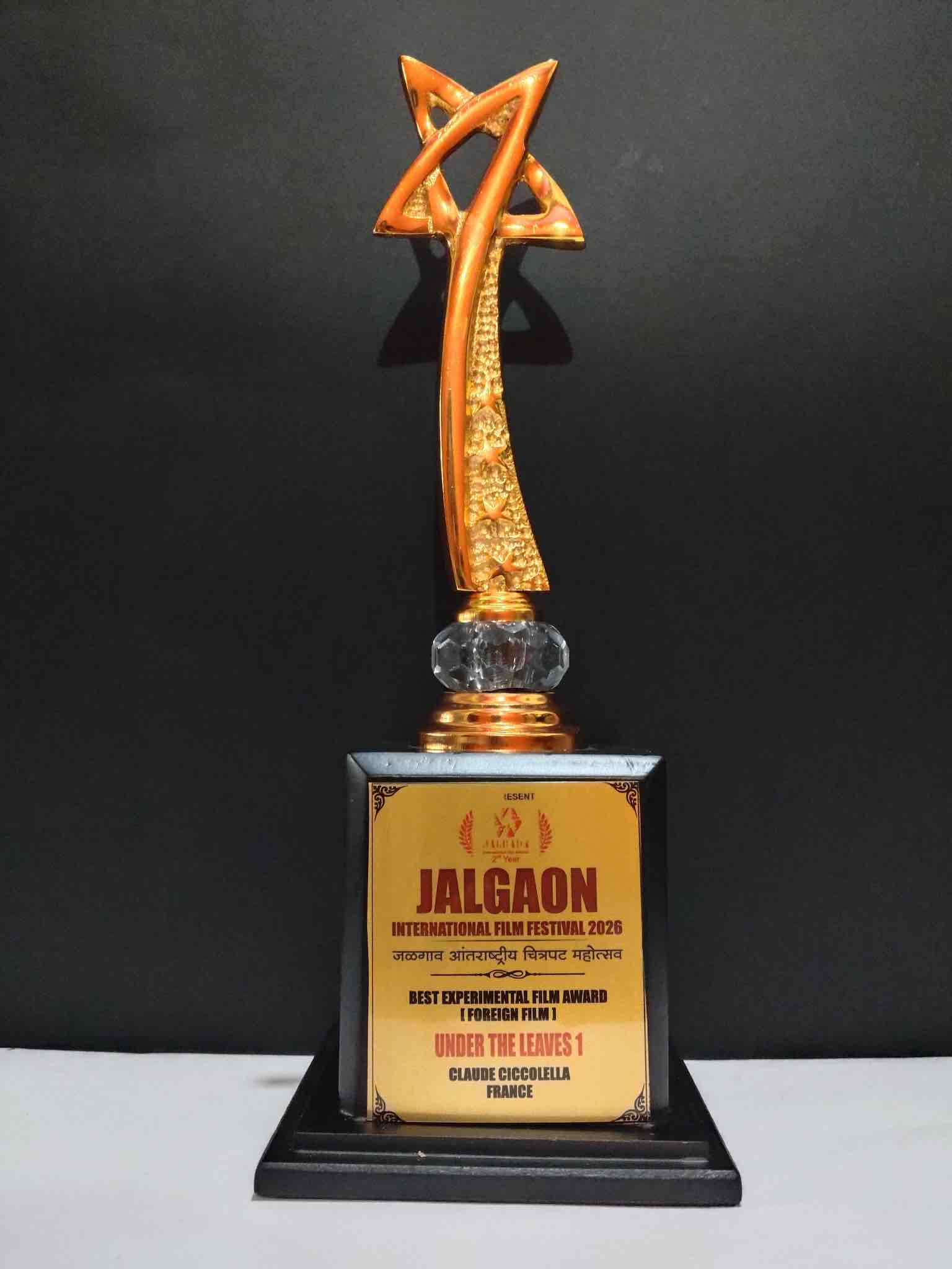 jalgaon_festival1
